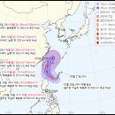 태풍이네