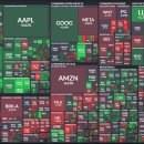 MELT(멜트) 이미지