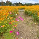 기흥호수공원 이미지