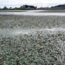 옥구저수지 이미지