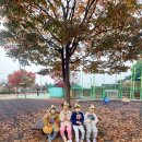 신백체육공원 이미지