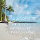 반찬가게정가는맛집♥ 여름휴가안내 8월12일(토요일)~8월15일(화요일) 이번주수요일부터정상영업합니다﻿🤩 ♥온누리동백전가능 이미지