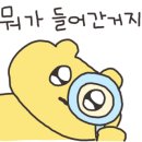 루시드엘 헤어 관악신림점