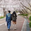 자전거여행 | 강원도 속초 벚꽃 명소 영랑호 자전거 여행 후기