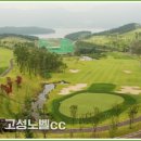 노벨CC골프연습장 이미지