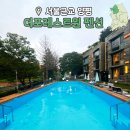 양평 아이와 가볼만한곳 더포레스트원 수영장 키즈펜션