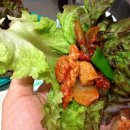 성남 동그라미