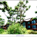 제주금강산콘도미니엄 이미지