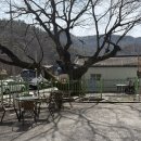 마산1로 느티나무길 | 부모님 모시고 가기 좋은 가수원동 맛집 느티나무집, 시래기 솥밥정식 후기