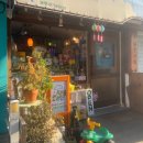 날씨좋으니까 (홍대) 연남동 산책하자! 잡화점/소품샵,카페추천, 내돈내산, 지니인어스, 소카모노..