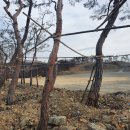 (주) 세움