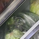 로켓프레시 쿠팡 샐러드 야채 내돈내산 후기, 팜에이트 무농약 유러피안 샐러드 재구매 만드는 신선함!