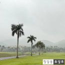 곰스크린골프(470) | [하노이 여행] 베트남 골프 추천 54홀 피닉스cc 챔피언 코스 리뷰 2편