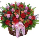 대화초교 이미지