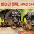 우방가축병원 네이버블로그