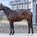 현창목장 이미지