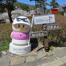 고창골프존 | 전북 고창 골프존카운티 선운cc 4월의 벚꽃 골프장 후기