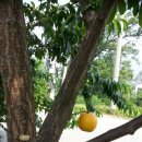 동검바다펜션 이미지