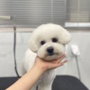 개스트하우스다냥 이미지