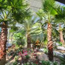 솔향수목원(제3주차장) 이미지