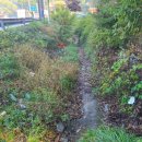 약수터주유소 이미지