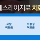 아그네스 이미지