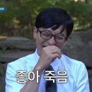 대풍마차 이미지