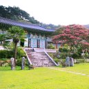🌿 화순 만연사, 자연과 역사가 함께하는 사찰 🍁