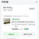 오브제 | [내돈내산] 봄맞이 데스크테리어템 추천 : 관리 편한 '텟츠(TETZ)' 식물 오브제 솔직 후기