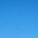 서천 금빛노을 서울캠핑장 이미지