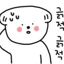 이프멍멍 이미지