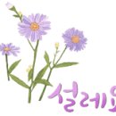 컴퓨레이터 이미지