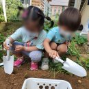 공도어린이집 이미지