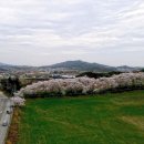 웰빙한우 이미지