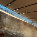 좋은자리뷔페 | 서울신라호텔 더 파크뷰 : 언제 가도 좋은 최애 호텔 뷔페 평일 런치 창가 자리 후기