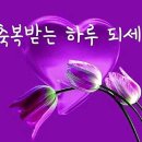 오늘;꽃 이미지