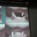 아쿠아동물병원 이미지