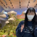 아뮤고나 이미지