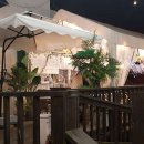 베가스테이 이미지