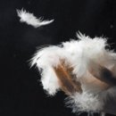 유행세탁 이미지