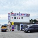 애견 동반 가능한 오션뷰 고성 횟집! 청간해변 '수락간횟집' 솔직 후기! (ft. 신선한 자연산 활어와 대게)