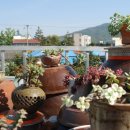 강두농장 이미지