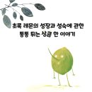 야호세탁소 이미지