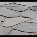 조경기능사(실기) 이미지