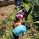 청원초등학교 이미지