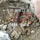 에이치투오(H20)광주 네이버블로그