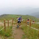 (주)싱글 이미지