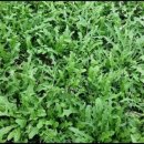 추곡농장 이미지