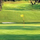 중앙골프 이미지