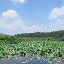 금암저수지 이미지